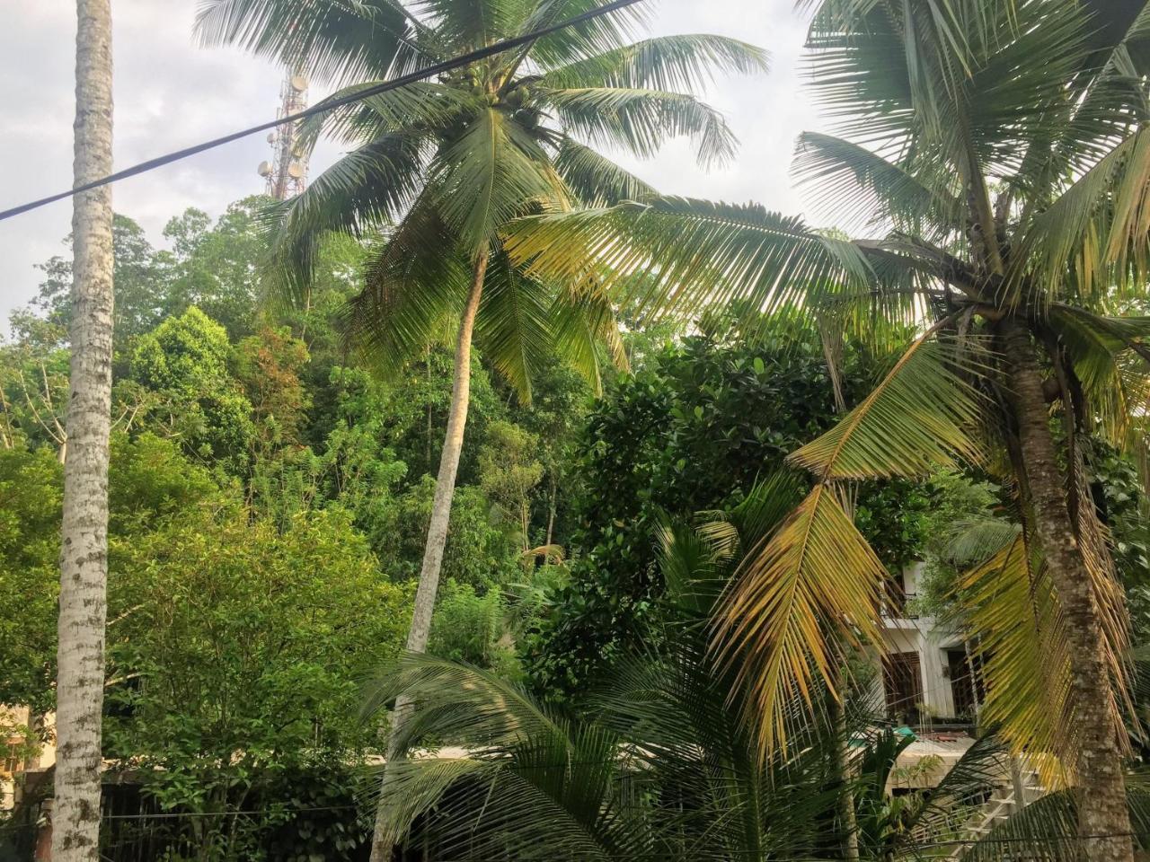 Summer Ridge - Homestay Ratnapura Exterior foto